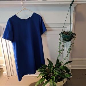 Royal blue shift dress
